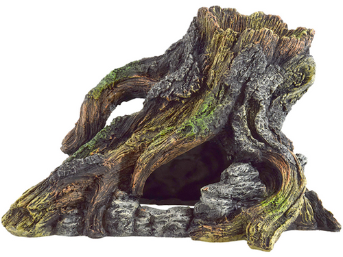 Twisted Stump Twisted Stump