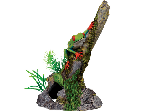 Tree Frog on a Stump Tree Frog on a Stump