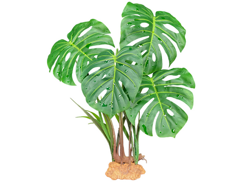 Komodo Monstera Leaf Standing Plant