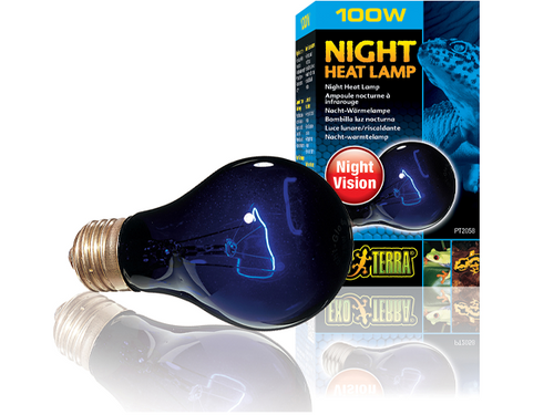 Exo Terra Night Heat Lamp 100W