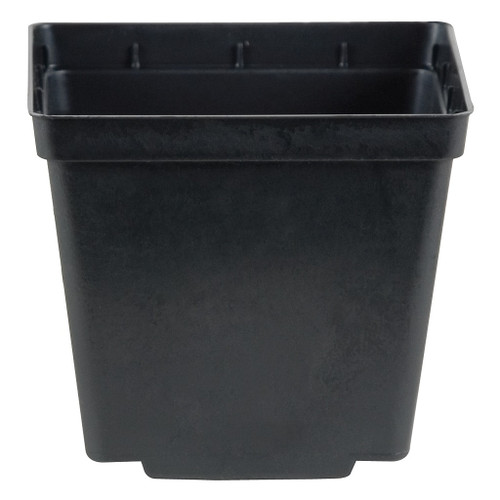 Square Pot Black 4"