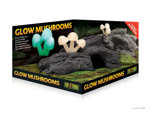 Glow Mushrooms