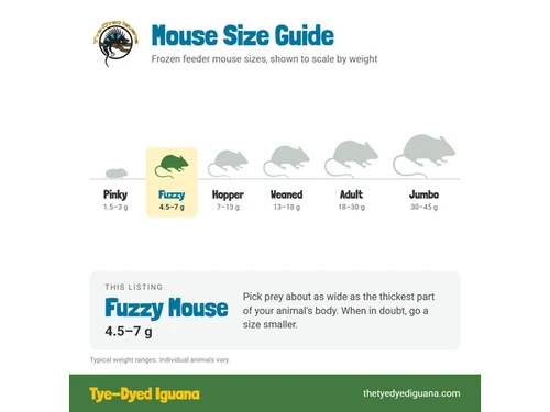 Frozen Mouse  - Fuzzy