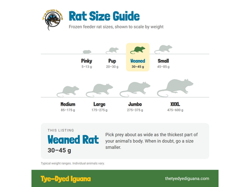 Frozen Rat - Weaned