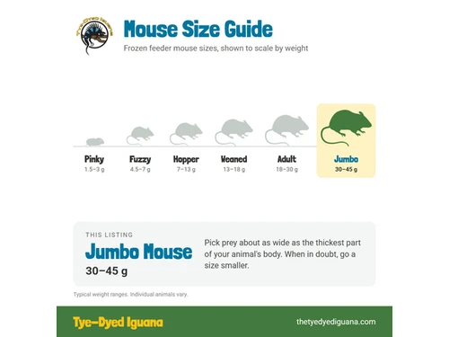 Frozen Mouse - Jumbo