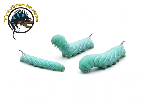 Hornworms 4 ct