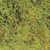 Terrarium Moss - 5 gallon - Zoo Med