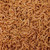 Freeze Dried Blood Worms 0.46 oz - Omega One