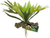 Naturalistic Flora - Staghorn Fern - Zoo Med