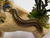 Pink Foot Millipede - Narceus americanus