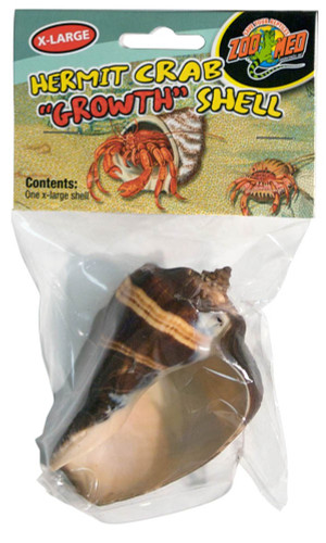 Hermit Crab 