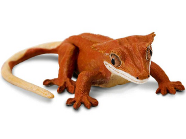 Crested Gecko