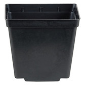 Square Pot Black 5"