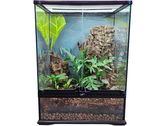 Living Vivarium 18" x 18" x 24"