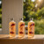 Toasted Sugar by Bodycology, 3 Pack 16oz 2 in 1 Body Wash & Bubble Bath women