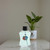 Adidas Team Five by Adidas, 3.4 oz EDT Spray for Men