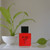 Pure Red by Karen Low, 3.4 oz EDT Spray for Men