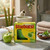 Starburst Scented Candle 3 oz Jar - Green Apple