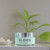 Elemis Pro-Collagen Marine Cream by Elemis, 1.6oz Anti-Wrinkle Day Cream