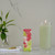 Green Tea Lychee Lime by Elizabeth Arden, 3.3 oz EDT Spray for Women