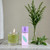 Green Tea Lavender by Elizabeth Arden, 3.3 oz EDT Spray for Women