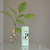 Mayar Natural Intense by Lattafa, 3.4 EDP Spray for Women