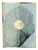 Afeef by Lattafa, 3.4 oz EDP Spray for Unisex