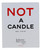 Not A Candle by Juliette Has a Gun, 6.35 oz Candle