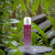 Can Can Burlesque by Paris Hilton, 8 oz Body Mist for Women