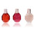 Flowerbomb by Viktor & Rolf, 3 Piece Variety Mini Set for Women