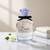 Blue Jasmine by Dolce & Gabbana, 2.5 oz EDP Spray for Women Tester