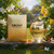 DKNY Nectar Love by Donna Karan, 1.7 oz EDP Spray for Women