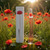 Flower Poppy Bouquet by Kenzo, 3.3 oz EDP Spray for Women