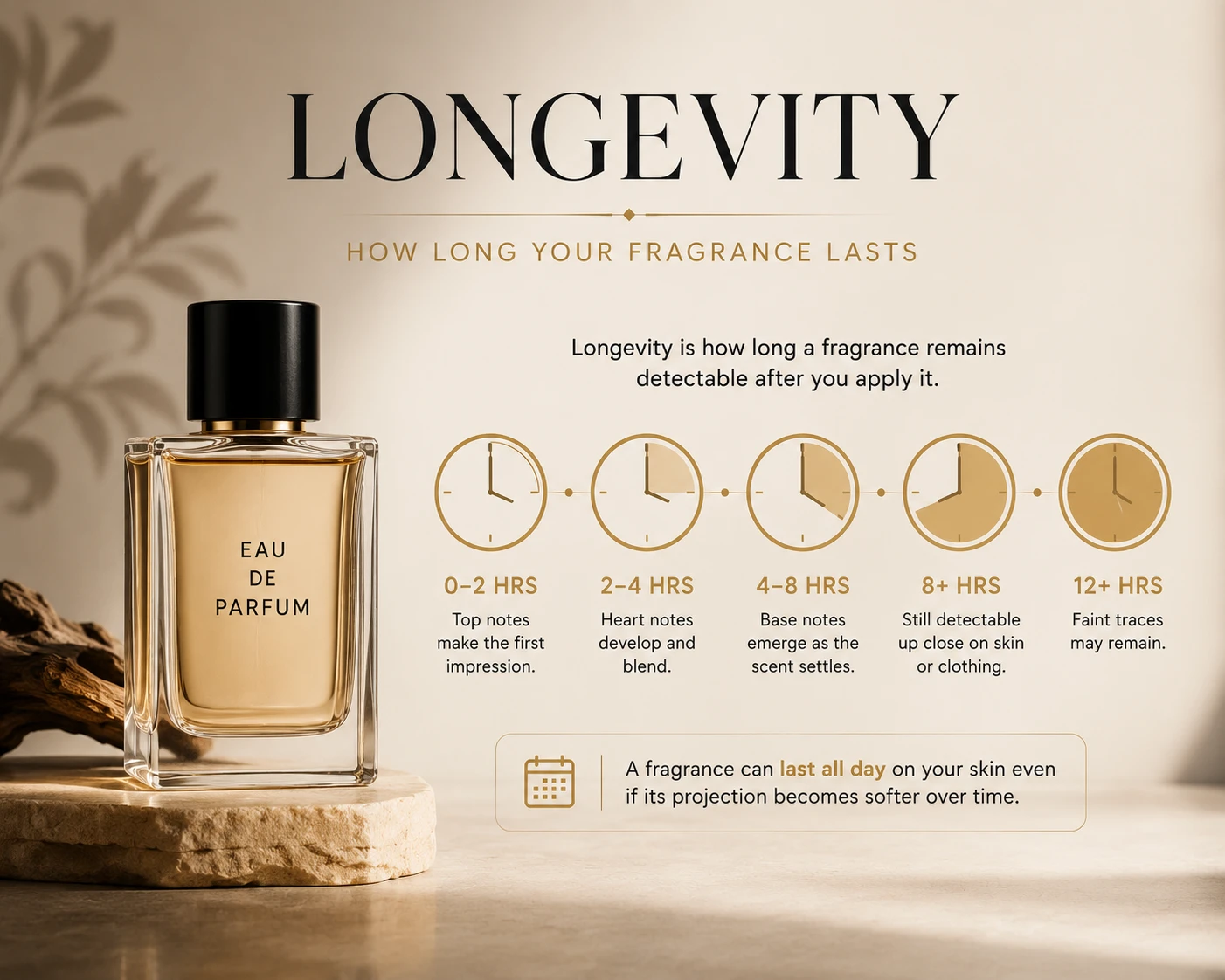 Longevity — how long your fragrance lasts: top notes in the first 2 hours, heart notes at 2–4, base notes at 4–8, still detectable up close past 8, faint traces beyond 12