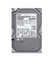 HDS5C1032CLA382 - Hitachi 320GB 5400RPM SATA 3.5" 8MB HDD