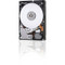 0B31233 - HGST 600GB 10520RPM SAS 12Gb/s 2.5" HDD