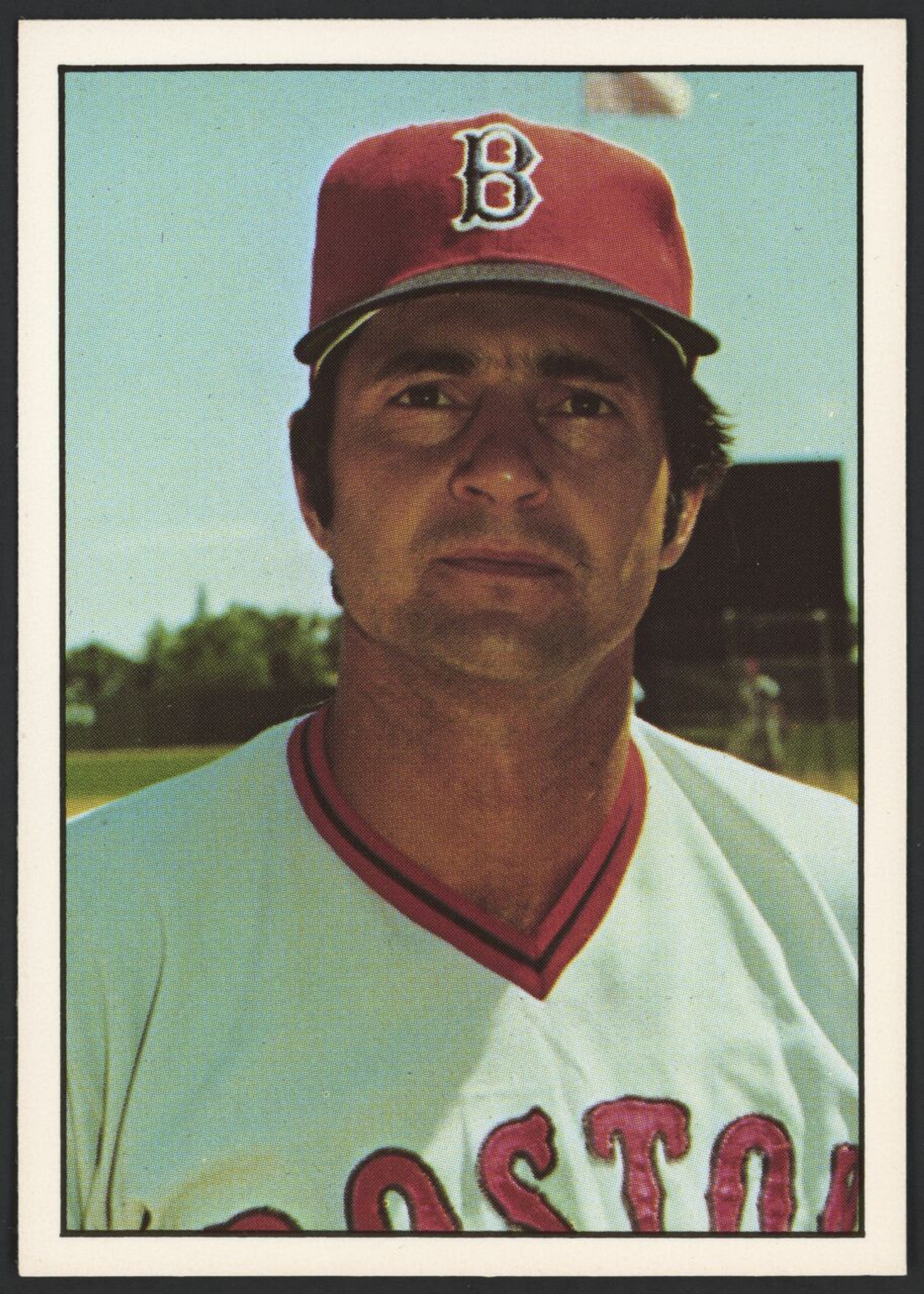 1975 SSPC #409 Carl Yastrzemski Red Sox EX