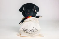 Kimochis® Hero 13" Plush Character in a Canvas Bag
