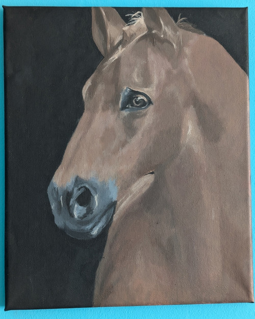 Horse by Megan