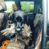 SHEARCOMFORT-SCC Realtree Waterproof Camo 