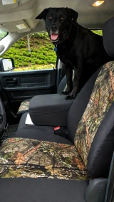 Mossy Oak Waterproof Camo seat covers on front seats, woodland camo with black bolsters as a black Lab stands on the console.
