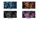 Moon Shine camo patterns: Undertow, Wildfire, Toxic, Muddy Girl, and Harvest Moon.