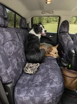 Two dogs sitting on a rear bench seat protected by Kryptek® "Typhon" camo seat covers, demonstrating the heavy-duty, pet-friendly durability of the material.