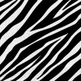 Zebra print fabric swatch for Animal Print Seat Covers, showing bold black and white stripes for a stylish custom-fit look.
