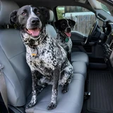 Dodge Waterproof CORDURA seat covers in solid gray on truck front bench with two happy spotted dogs on passenger and middle seats.