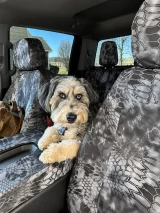 A fluffy dog sitting on the center console of a truck, with front seats protected by custom-fit Kryptek® Waterproof Camo seat covers in the tactical "Typhon" pattern.