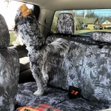 A dog standing on a rear bench seat featuring Kryptek® Waterproof Camo seat covers in the "Typhon" pattern, demonstrating the material's durability and pet-friendly protection.