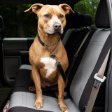 CORDURA 1000 Denier Xtra-Duty Seat Covers with a dog on the seat, tough fabric for pets and everyday use.