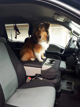 Why Spring Is the Best Time to Upgrade Your Pet's Car Seat Cover