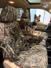 A small dog stands on the center console of a vehicle equipped with custom-fit Realtree Waterproof Camo seat covers, highlighting their pet-friendly durability and rugged style.